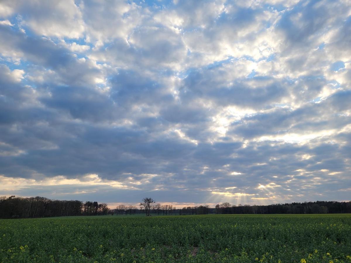 Maerchenhaft Urlauben Auf Dem Alpakahof Lägenhet Rambow Exteriör bild