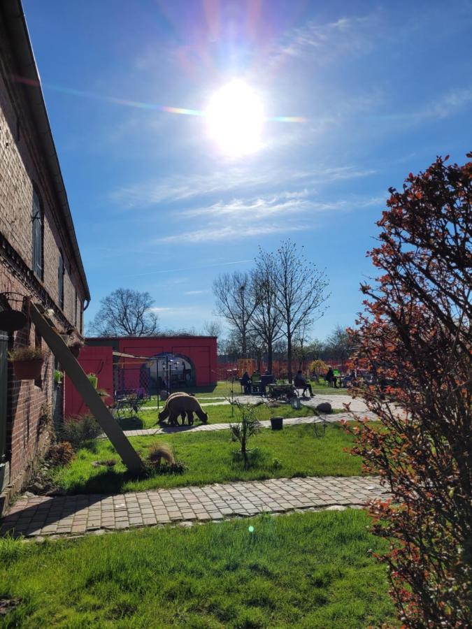Maerchenhaft Urlauben Auf Dem Alpakahof Lägenhet Rambow Exteriör bild